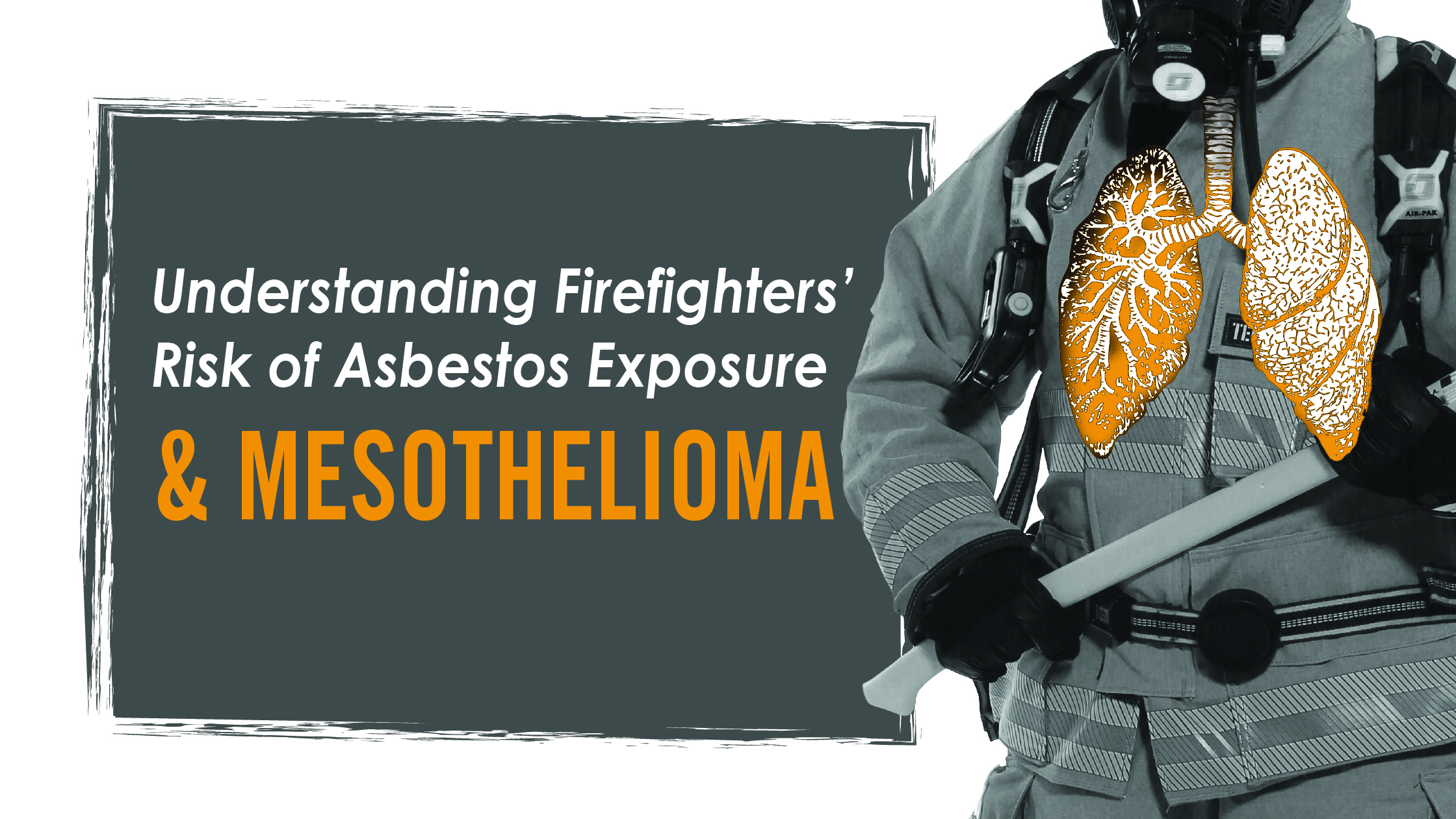 Amazing Mesothelioma Asbestos At Risk Landscape Art Amazing Mesothelioma Asbestos At Risk Landscape Art